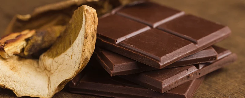 mushroom chocolate edible
