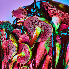 Other Psychedelics