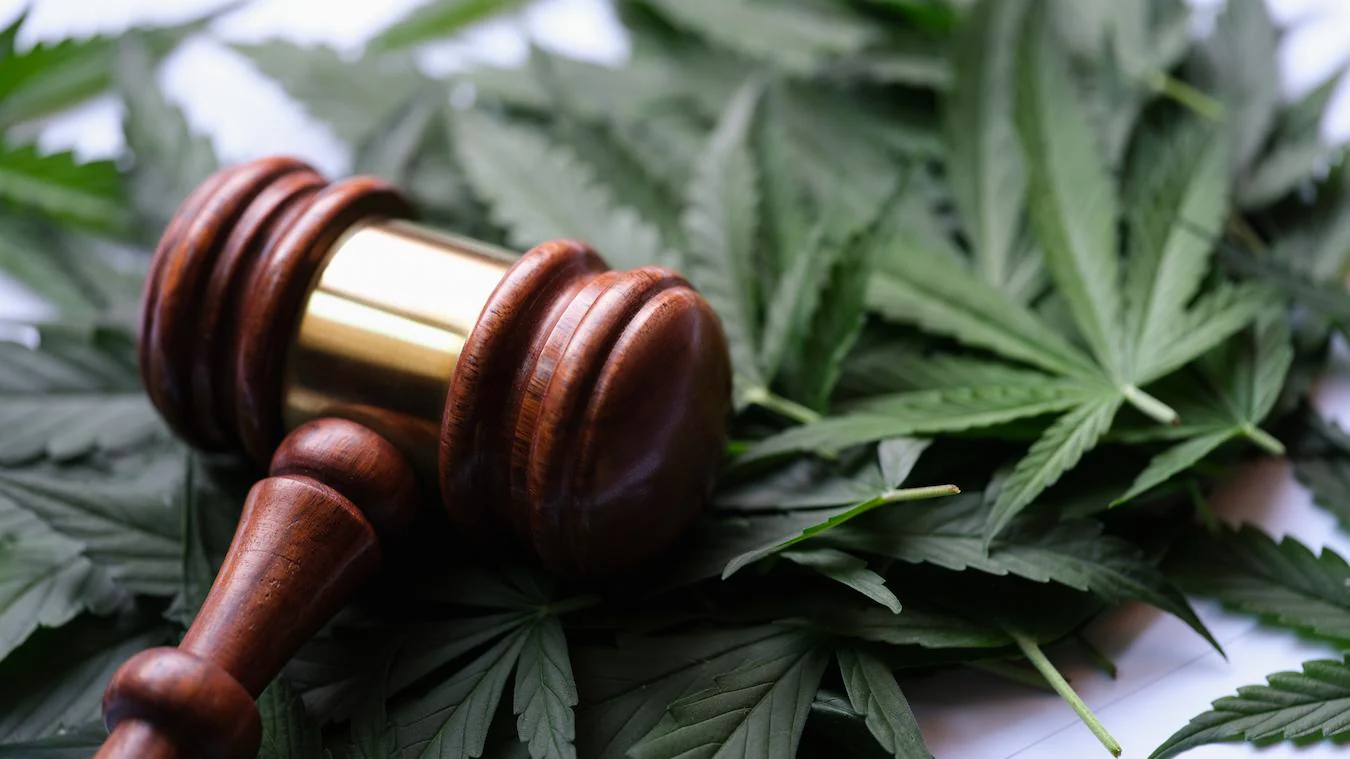 THC-O Frequently Asked Questions